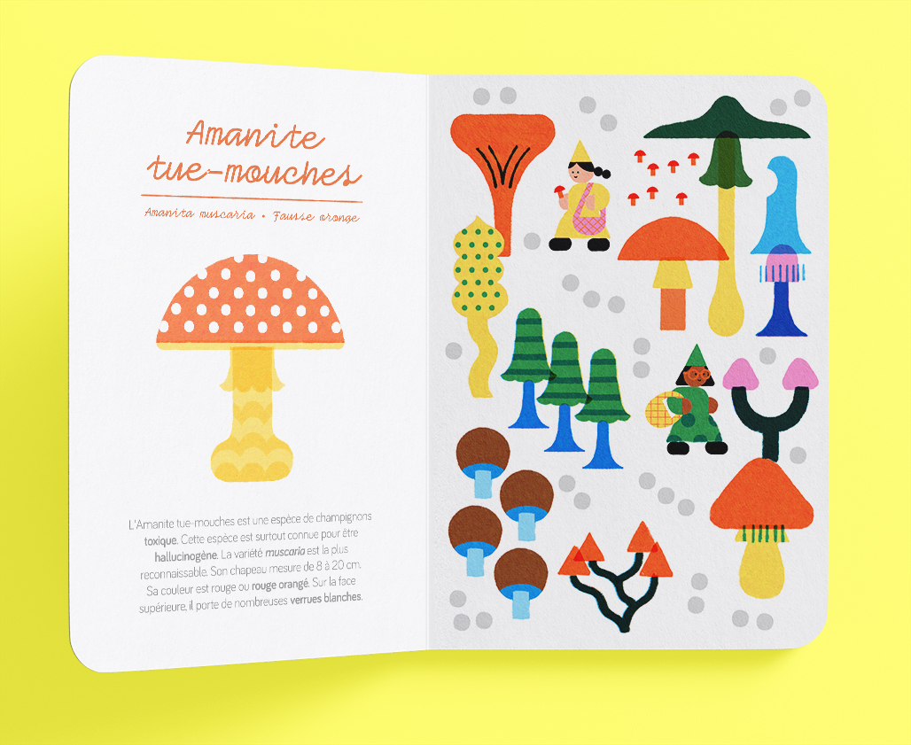 illustration album jeunesse documentaire champignons